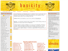 Tablet Screenshot of basicity.com